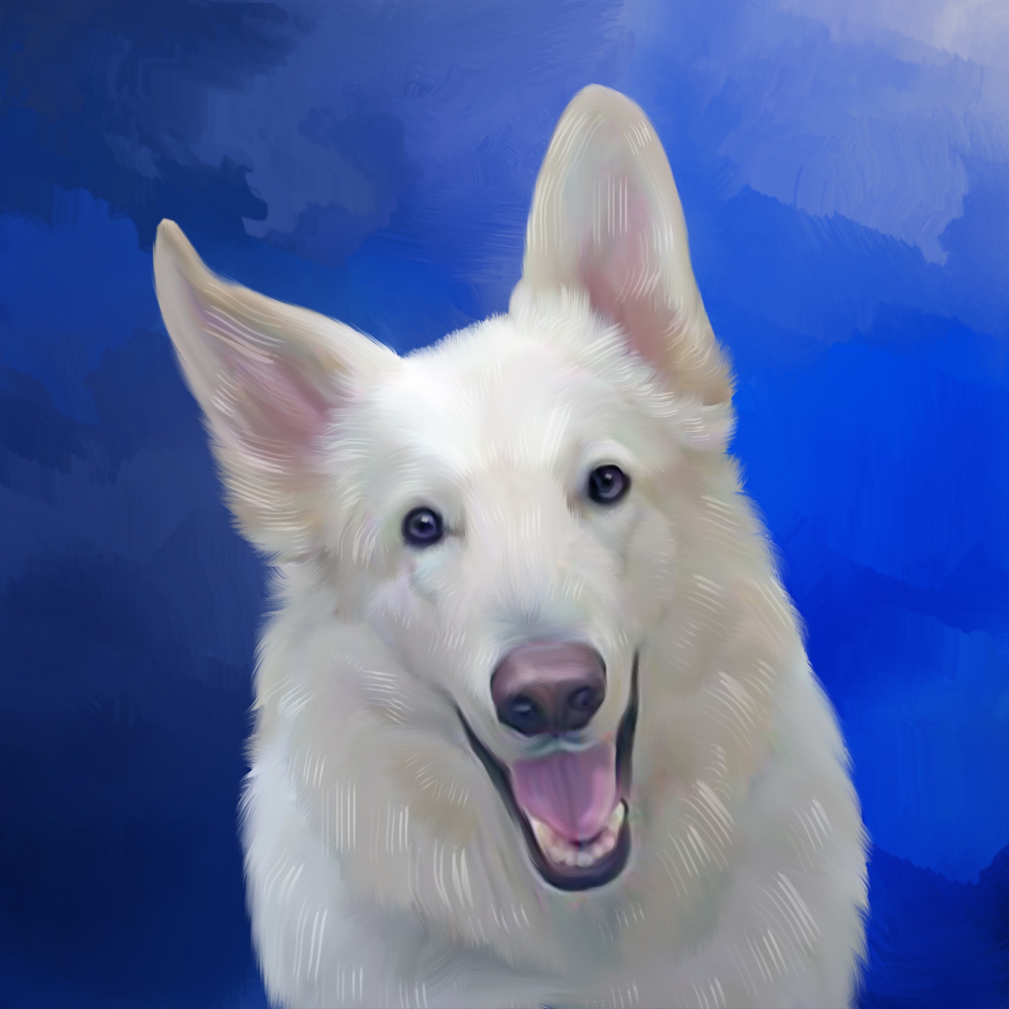 DIY DOG STUFF DIY PARACORD DOG COLLAR