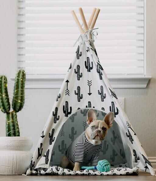 DIY dog bed ideas for an extra-large dog like Pharaoh